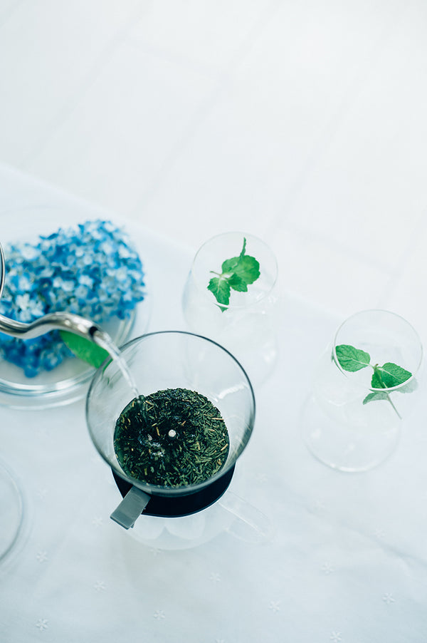 "Largo" Tea Dripper 350mL