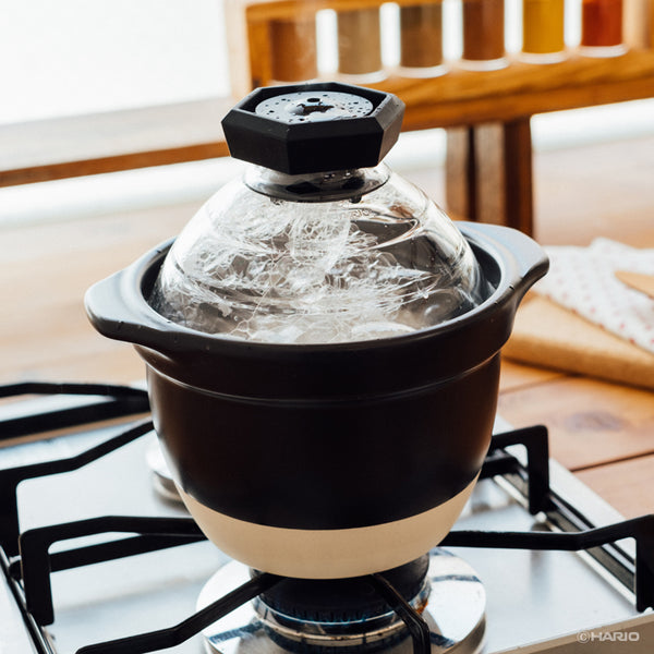 GohanGama Ceramic Rice Cooker