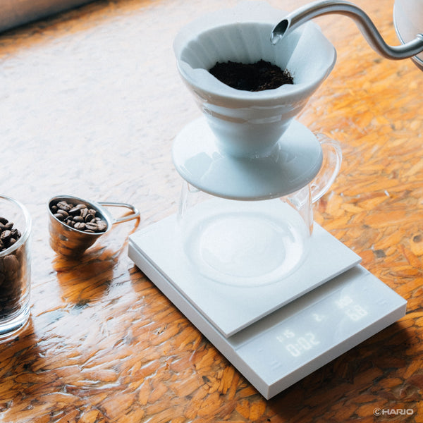 White ceramic dripper filled with dark coffee grounds positioned on Polaris scale