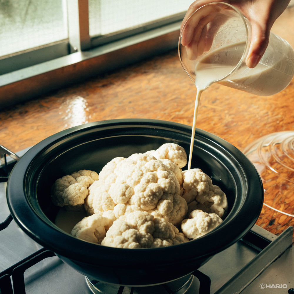 Donabe Ceramic Cooking Pot