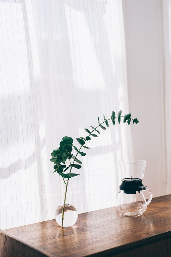 Single Largo dripper with steeped dark tea positioned beside eucalyptus-decorated table setting.