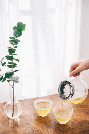 Hands tilting Largo dripper to dispense brewed tea into cup with eucalyptus branch in background.