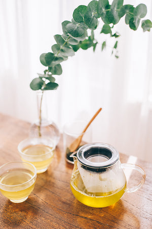 Brewed pale yellow tea in glass server with matching dripper and fresh eucalyptus branch display.