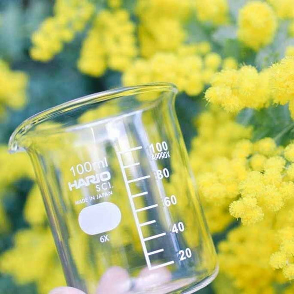 Empty 100ml HARIO glass beaker against blurred yellow flowers background.