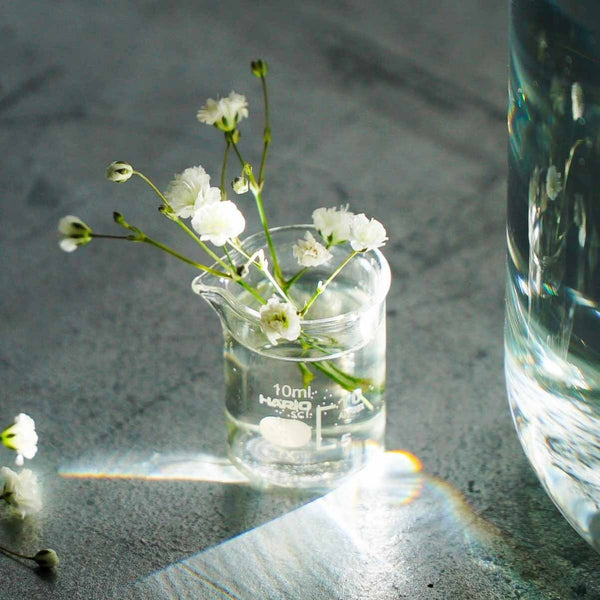 Small white carnation arrangement in 10ml HARIO beaker on gray surface.