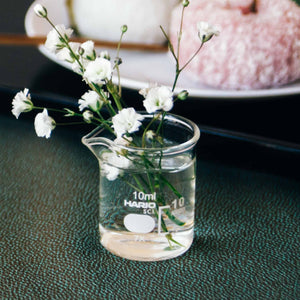 White carnation buds in small glass HARIO beaker vase on dark surface.