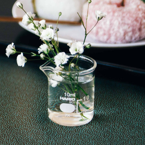 White carnation buds in small glass HARIO beaker vase on dark surface.