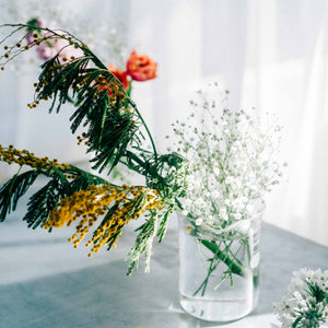 Mixed dried and fresh flowers with fern in glass beaker vase.