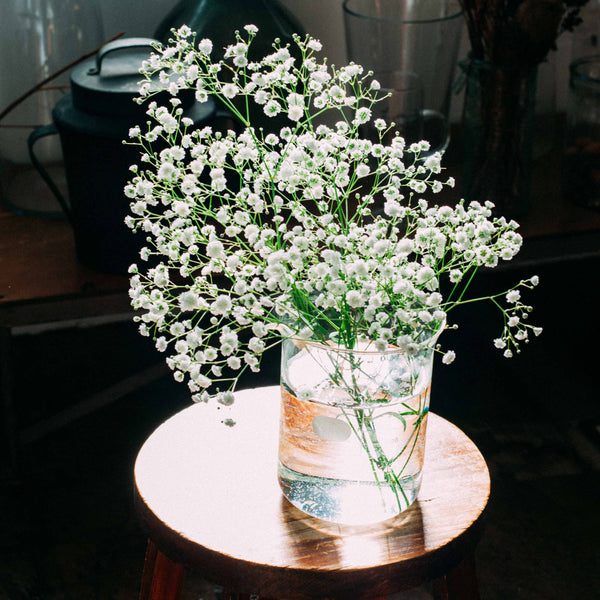 Full baby's breath arrangement in glass beaker on wooden surface.