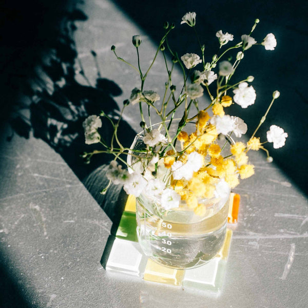 Mixed yellow and white flowers in glass HARIO beaker with shadow.