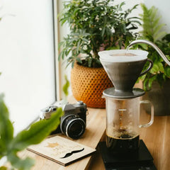 Hario ceramic dripper and glass beaker server with water pouring into coffee grounds, surrounded by potted plants on wooden