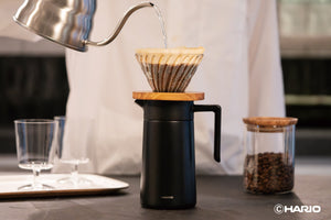 Thermal Server with Ceramic Coating