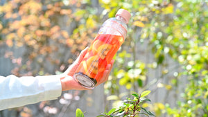 Filter-in Portable Matcha Bottle