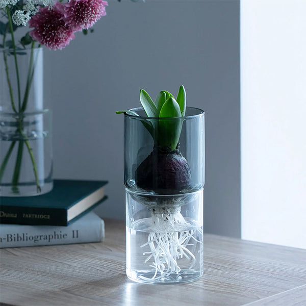 Glass Flower Vase