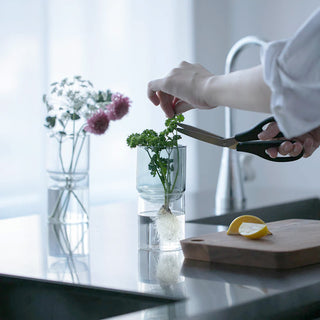 Glass Flower Vase