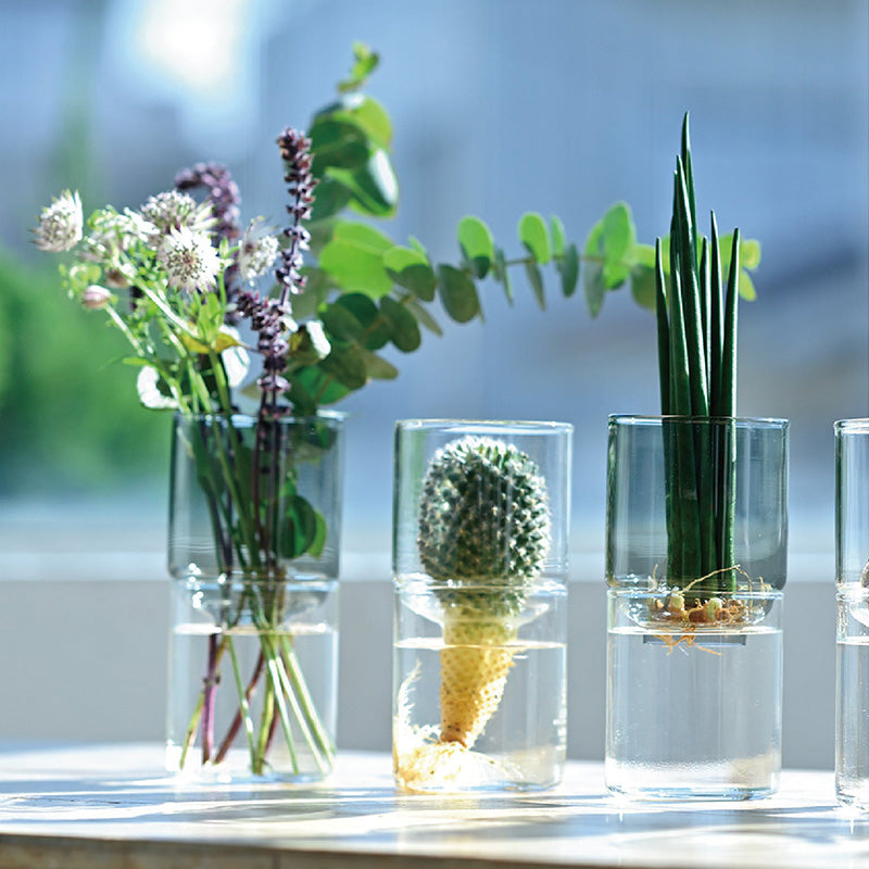 indoor plants in glass vase Glass Flower Vase Black