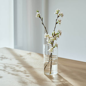 Glass Flower Vase