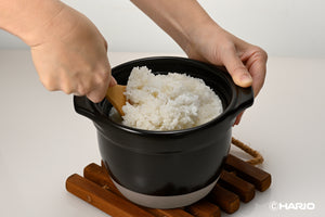 GohanGama Ceramic Rice Cooker