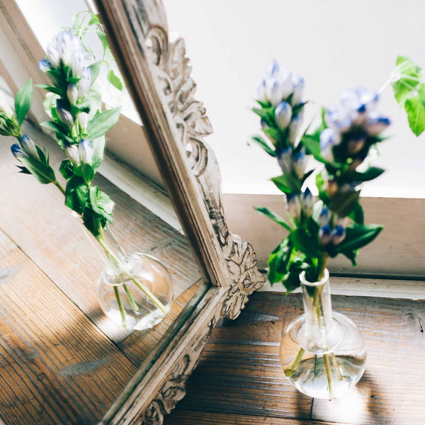Blue and white clustered flowers in glass vases reflected in ornate mirror frame.