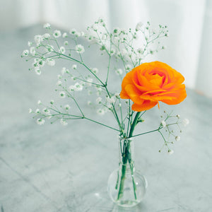 Orange rose with delicate white filler flowers in round glass vase on white surface.