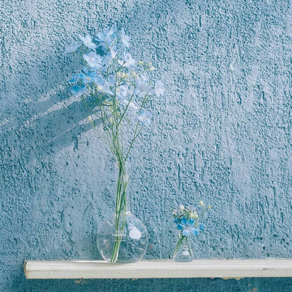 Blue-tinted deli flowers in two glass vases on white shelf against textured teal wall.