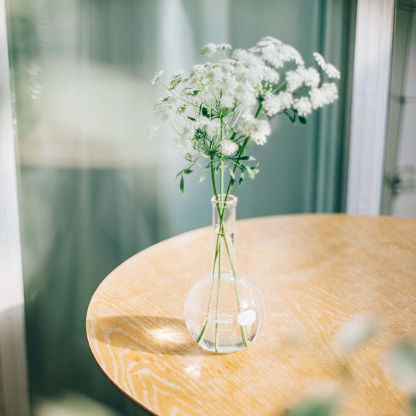 White baby's breath flowers in glass vase on wooden round table near window.