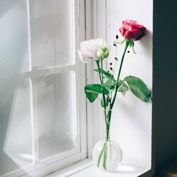 Pink and white roses in clear glass vase on white windowsill with frosted glass panes.