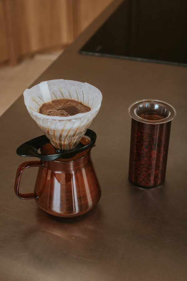 Colors Glass Coffee and Tea Server 600mL