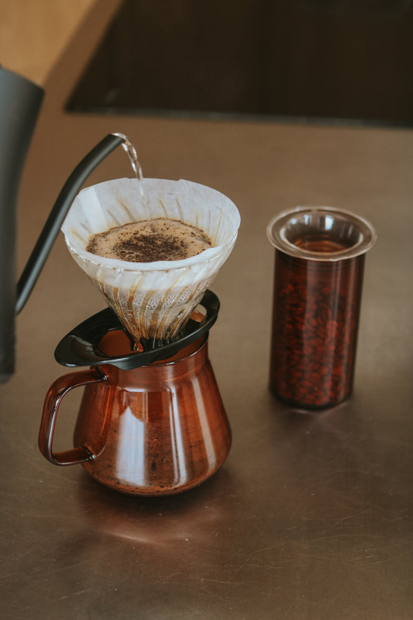 Colors Glass Coffee and Tea Server 600mL