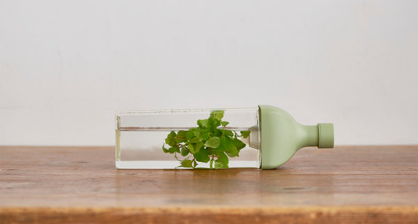 "Ka-Ku" Cold Brew Tea Bottle 1200mL