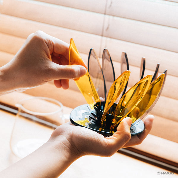 Hand holding yellow petals of a clear glass Suiren dripper with black ribbed center.