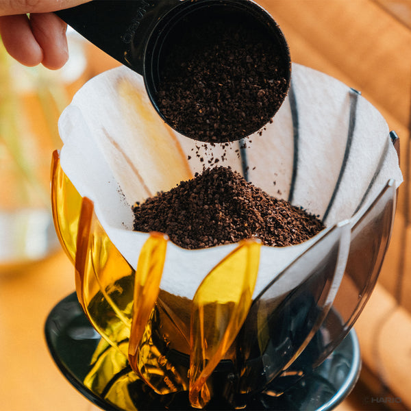 Ground coffee being poured into yellow and black Suiren dripper with paper filter.