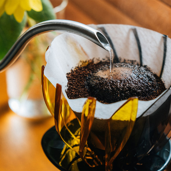 Close-up of water dripping through coffee grounds in yellow Suiren dripper with filter.