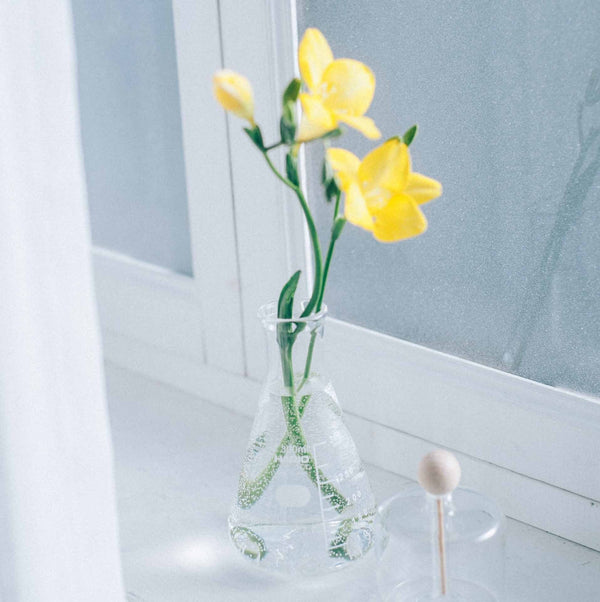 Yellow orchid flowers with green foliage in small decorative flask vase near window