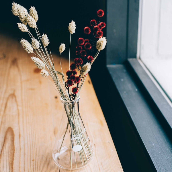 Clear glass vase with dried pampas grass and red berry stems on wooden surface near window
