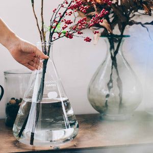 Hand holding conical laboratory flask with red berries and green foliage against white background
