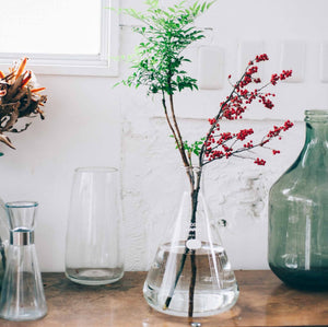 Multiple glass vessels including green bottle with red berry branches and leafy stems displayed together