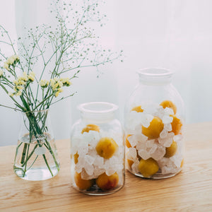 Glass Storage Bottle