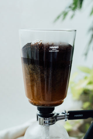 "NEXT" Coffee Syphon