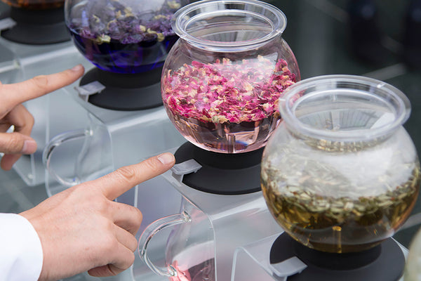 "Largo" Tea Dripper 800mL